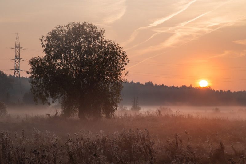 Владимир, город Владимир, природа Владимира, Владимирская область, туман Утро фото превью