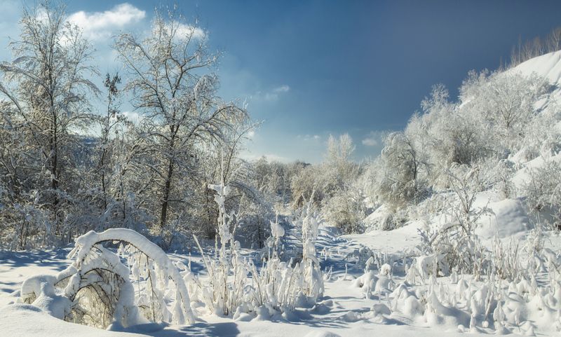 солнечный, последний, день, уходящего, года... С наступающим!photo preview