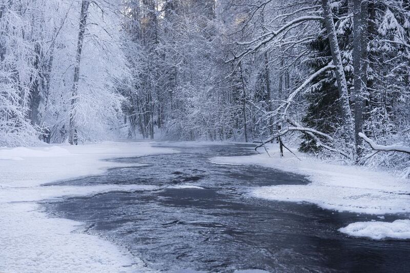 зима, линдуловская роща, река, рощинка Зимний лесphoto preview