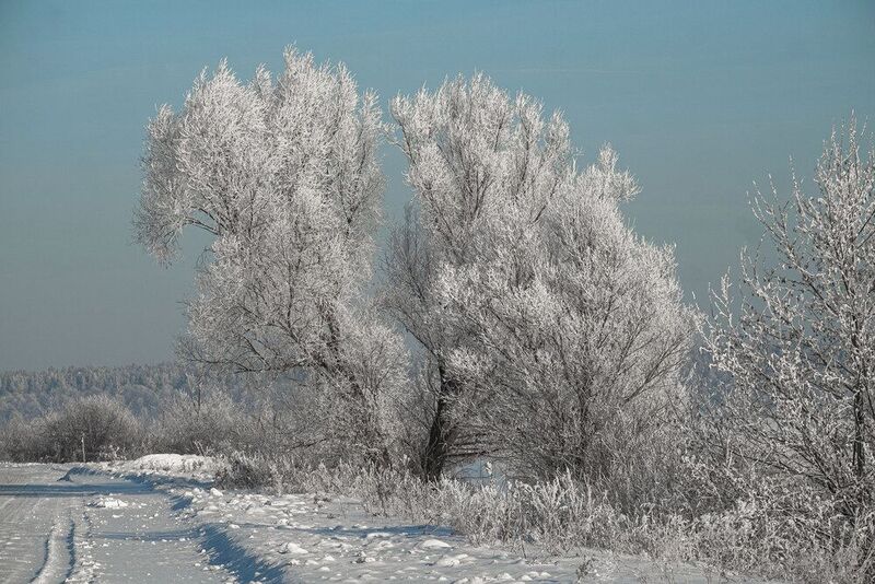 зима дорога снег иней природа пейзаж По дороге.photo preview