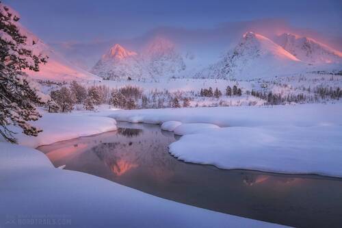 Зимний пейзаж