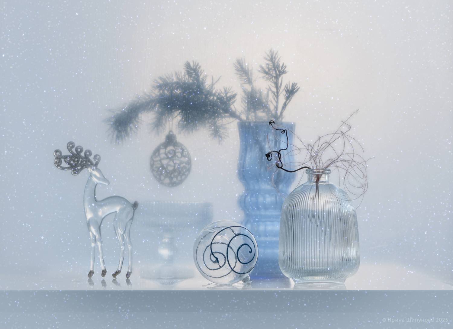 , Шипунова Ирина