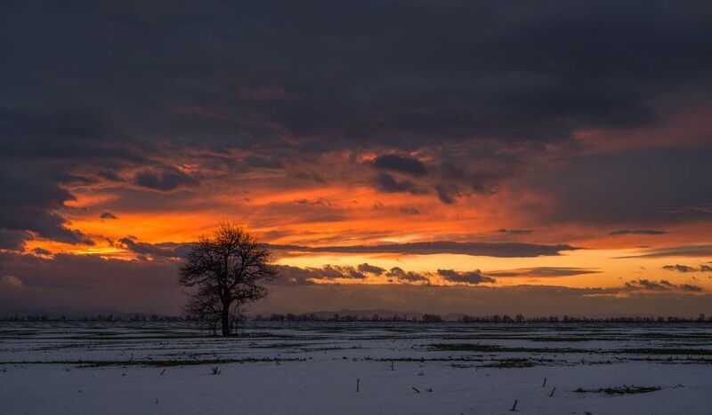 last for 2025photo preview