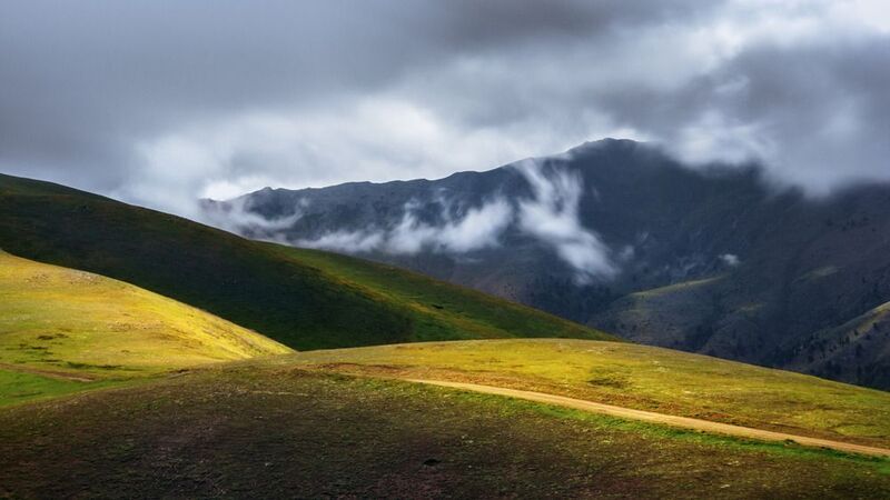 salansarphoto preview