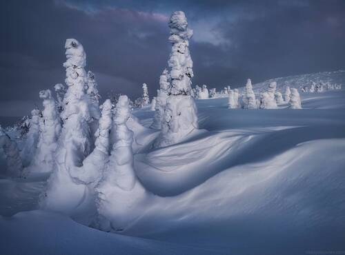 С Новым годом!