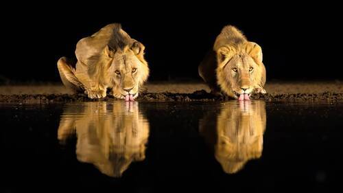 Ночной выпивон