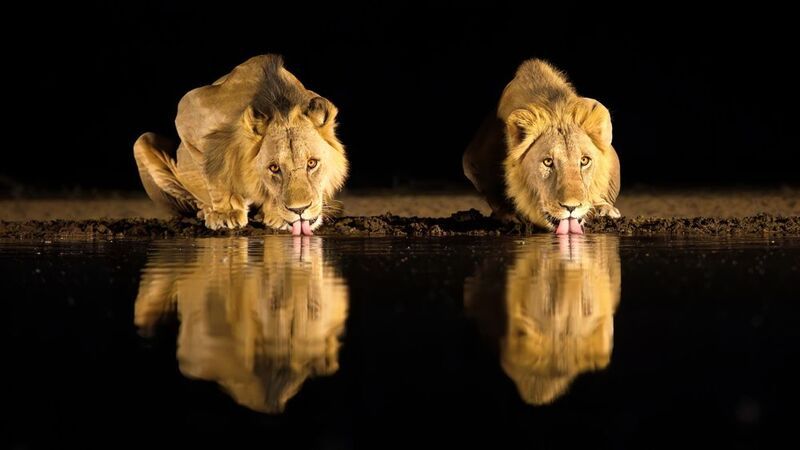 Ночной выпивонphoto preview