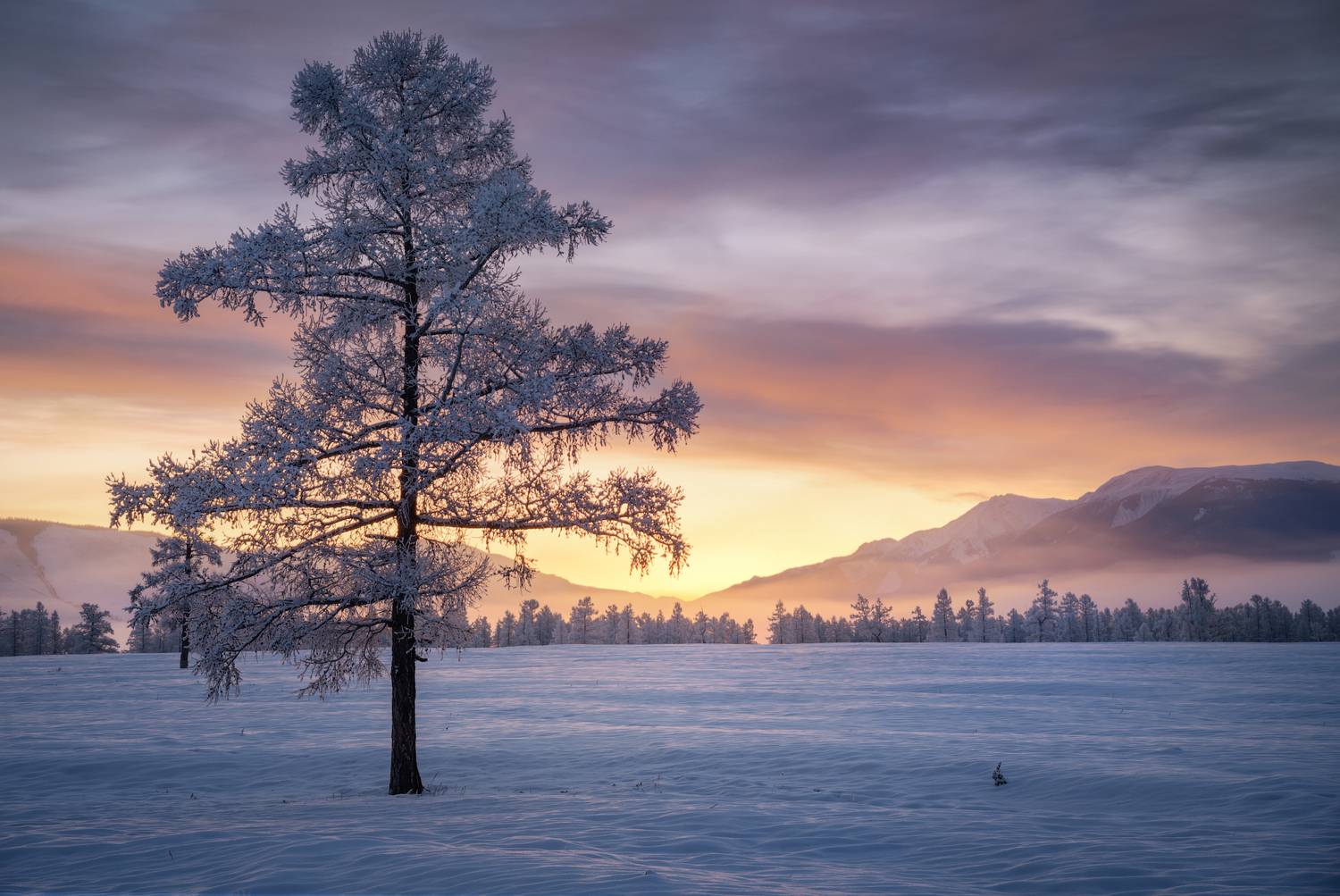 алтай, горный алтай, пейзажи алтая, кош-агачский район, курайская степь, горы, зимний алтай, Рубан Алёна