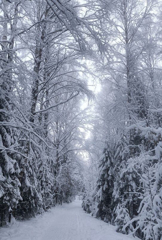 1 января Нового Года!photo preview