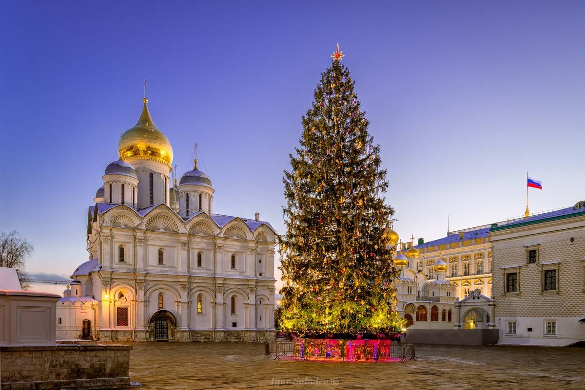 Новогодняя ёлка на Соборной площади Московского кремля. Автор: Игорь Соболев москва, новый год, соборная площадь, кремль, Игорь Соболев