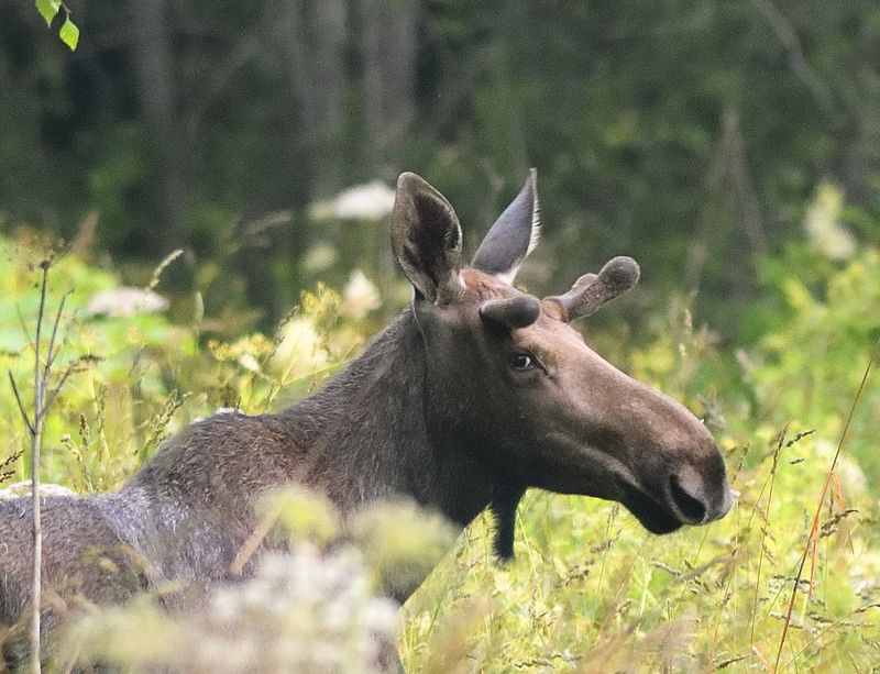 Молодежьphoto preview
