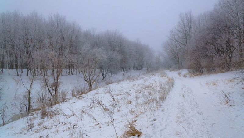 Вдоль оврага.photo preview