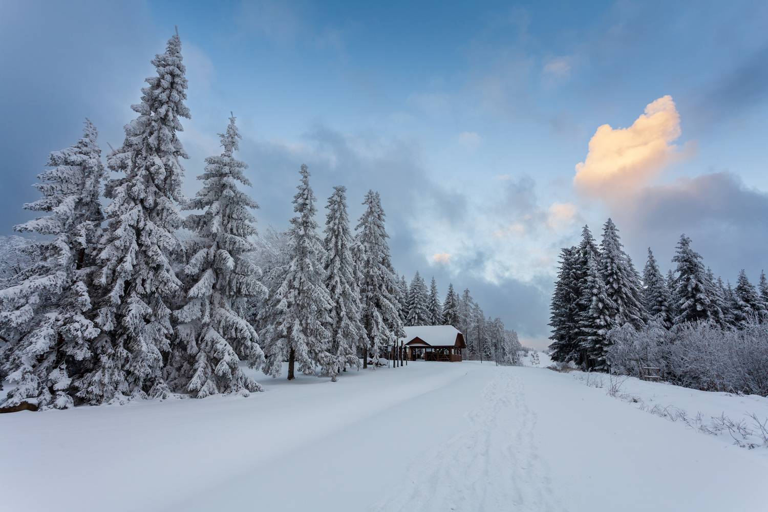 Автор: Mirosław Pruchnicki , Mirosław Pruchnicki