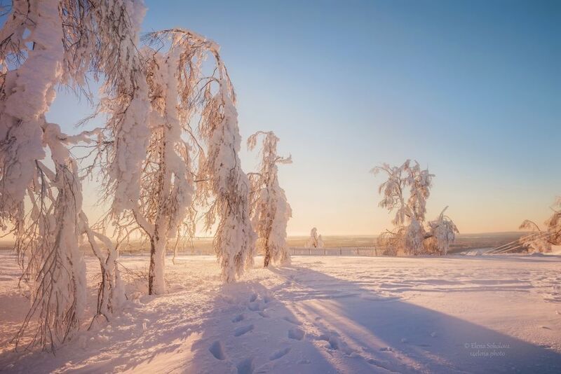 зима, утро, рассвет Волшебное утро на Белой гореphoto preview