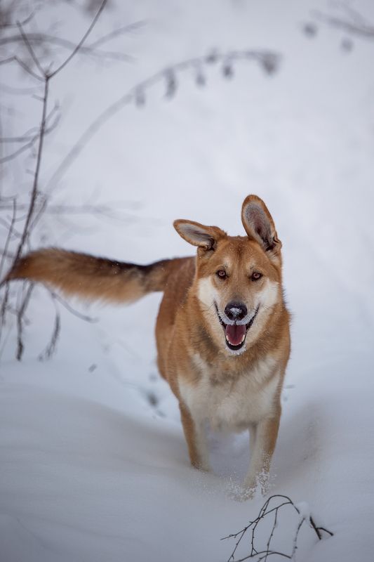 Наянphoto preview