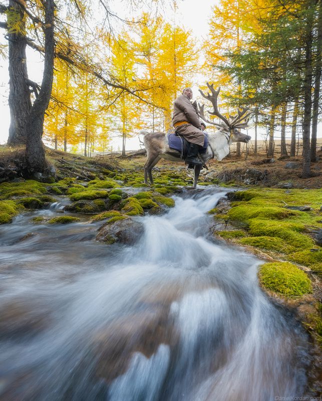 Mongolia Tsaatanphoto preview