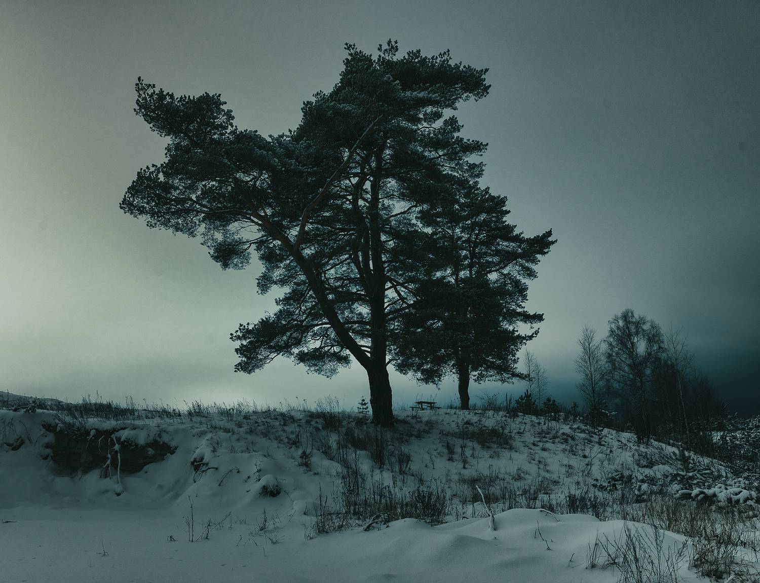 , Алексей Бондаренко