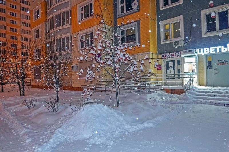 Снежный Новый годphoto preview