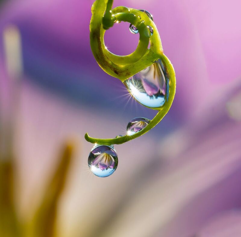 Макро. ***photo preview