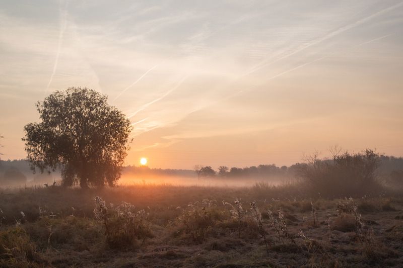 Владимир, город Владимир, природа Владимира, Владимирская область, туман Рассветphoto preview