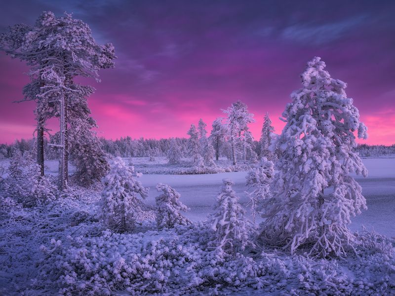 Скованные первыми холодамиphoto preview