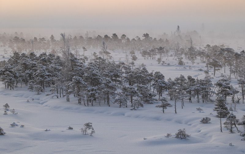 Зимнее утроphoto preview
