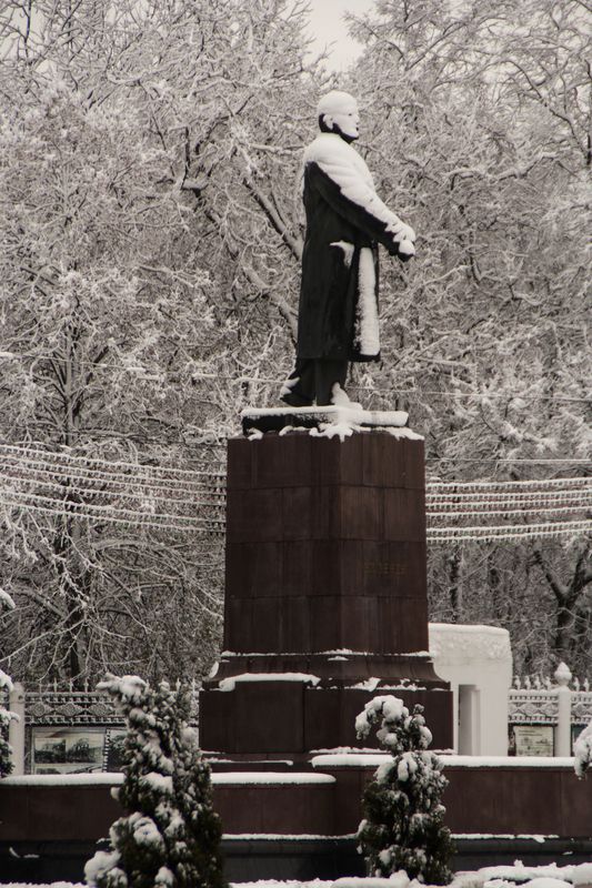 скульптуры, монумент, ленин, памятник, городская среда, город, гомель, беларусь, стрит Занесло Ильича...photo preview