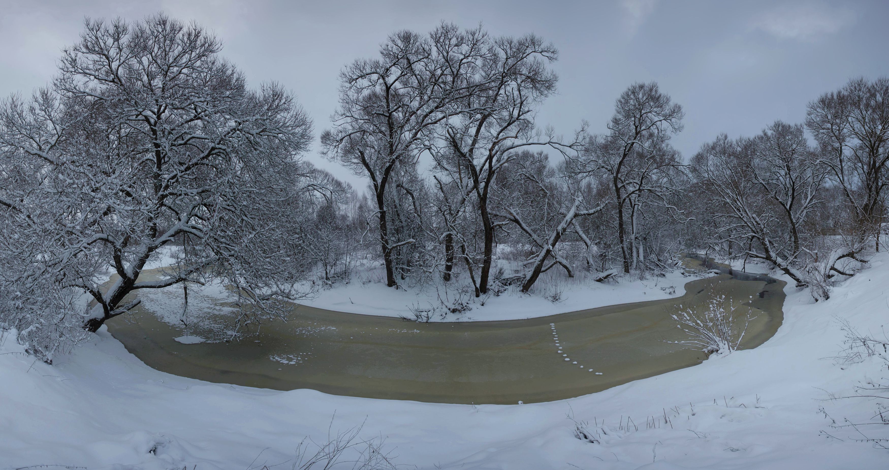 зима, река, лес photo preview