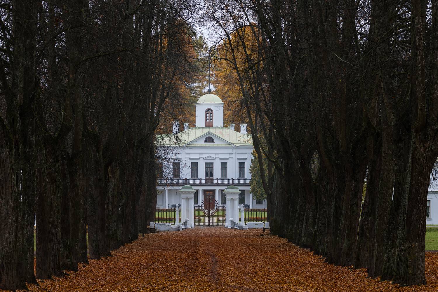 осень, Середниково, усадьба, Химки, Кочкин Владимир