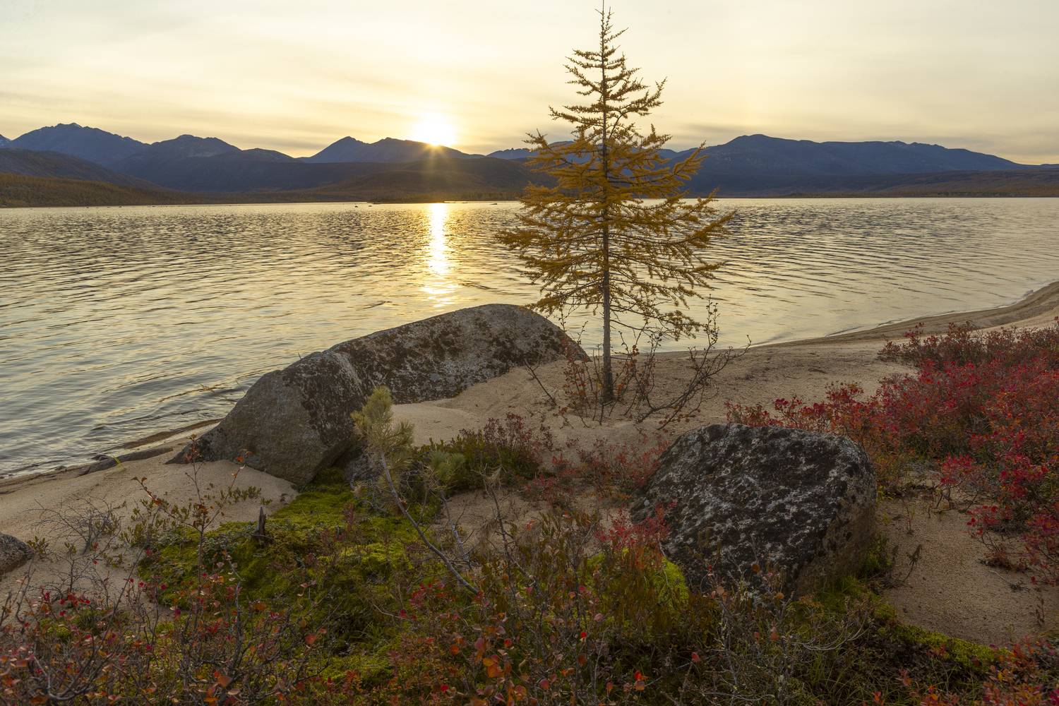 Озеро Джека Лондона. Автор: Башкин Георгий , Башкин Георгий