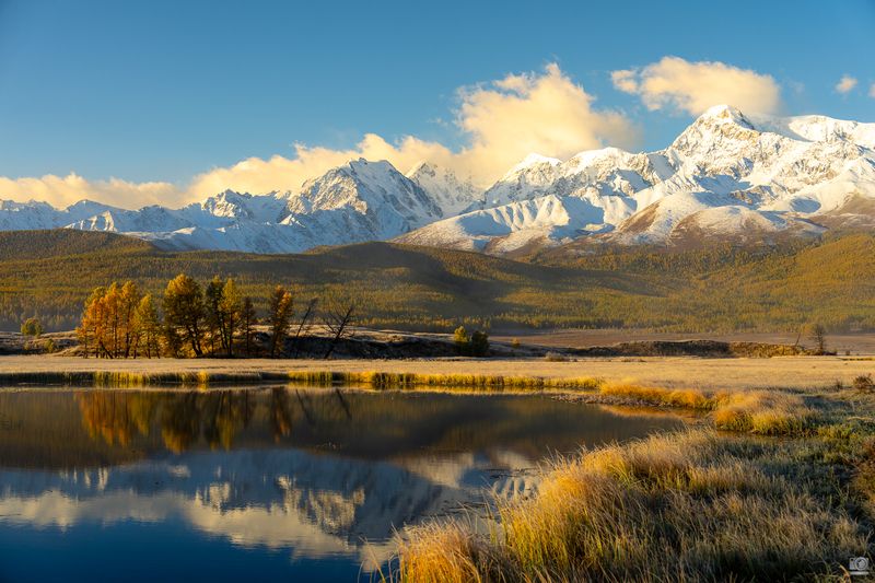 алтай Цвета Алтаяphoto preview