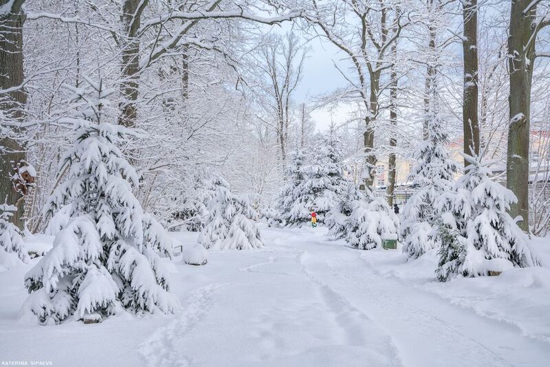 Зимняя сказкаphoto preview