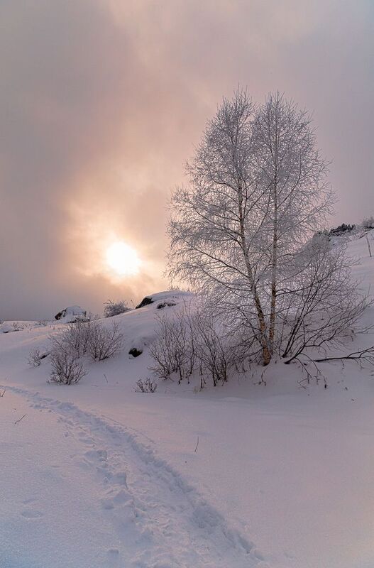 кыргызстан, ала-арча Дорога к Солнцуphoto preview