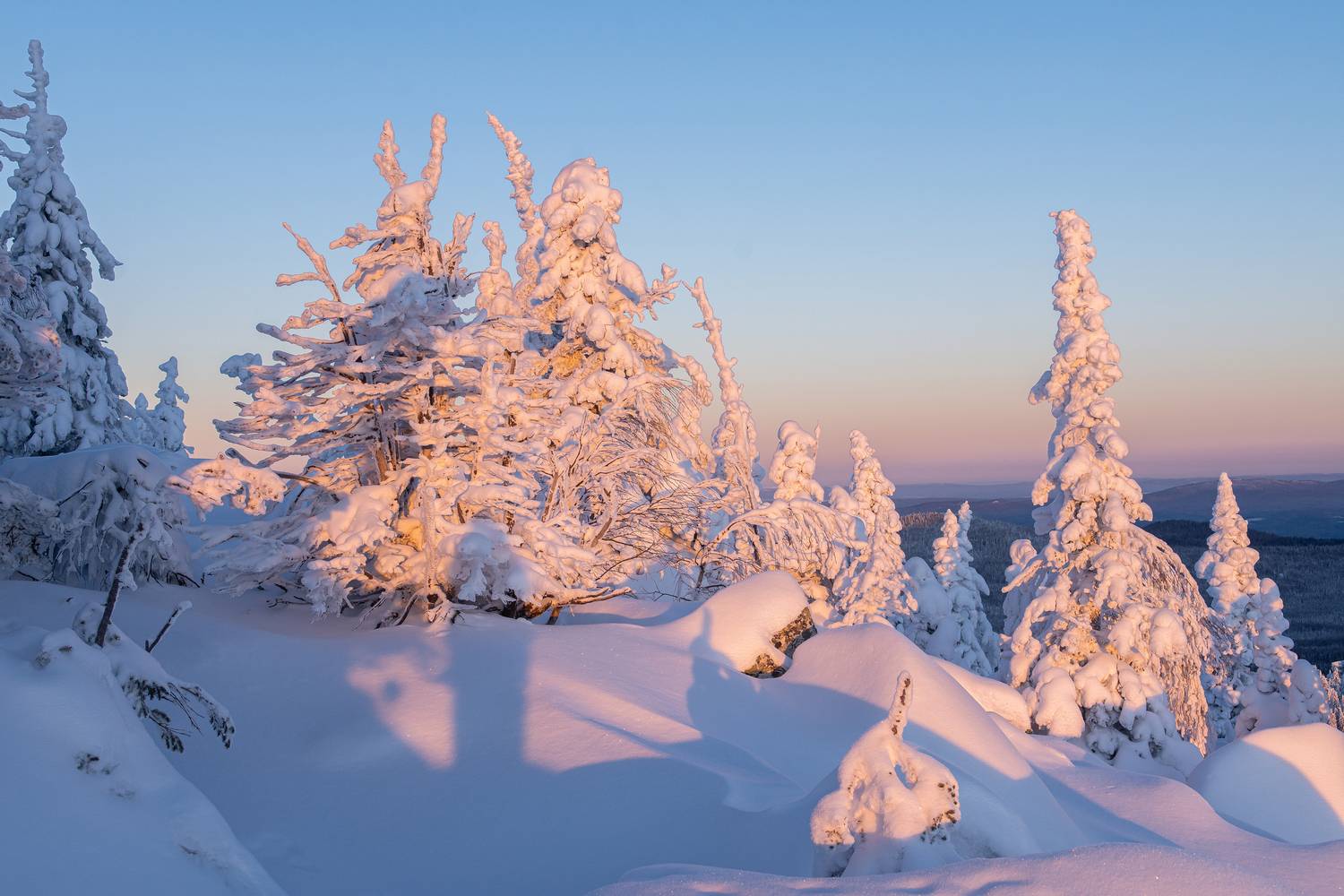 , Андрей Шарапов