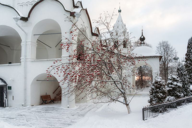 суздаль Ягоды на снегуphoto preview