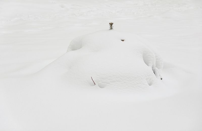 Хорошо укуталphoto preview