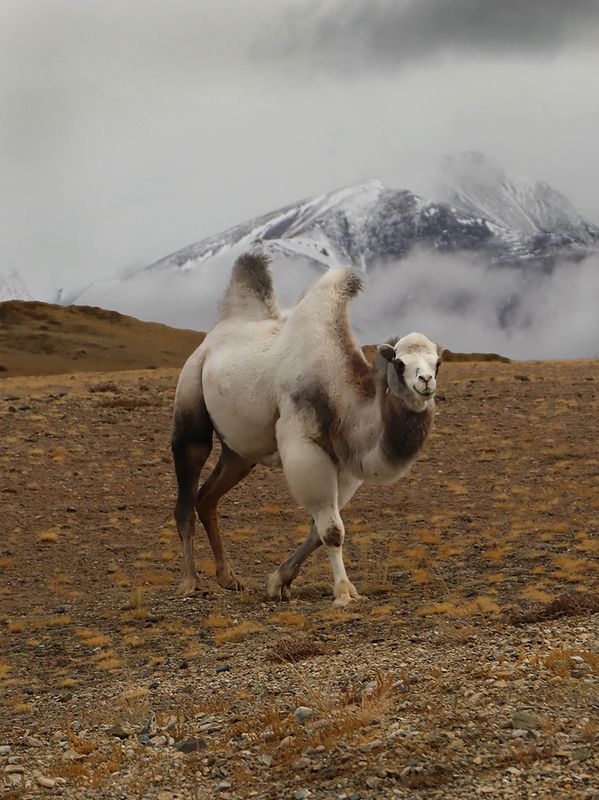 Блондинphoto preview