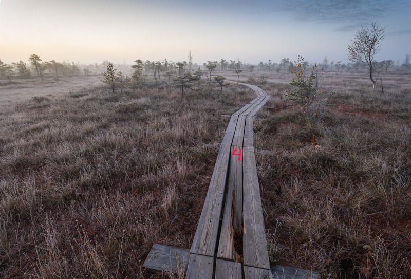 Утренние тропыphoto preview