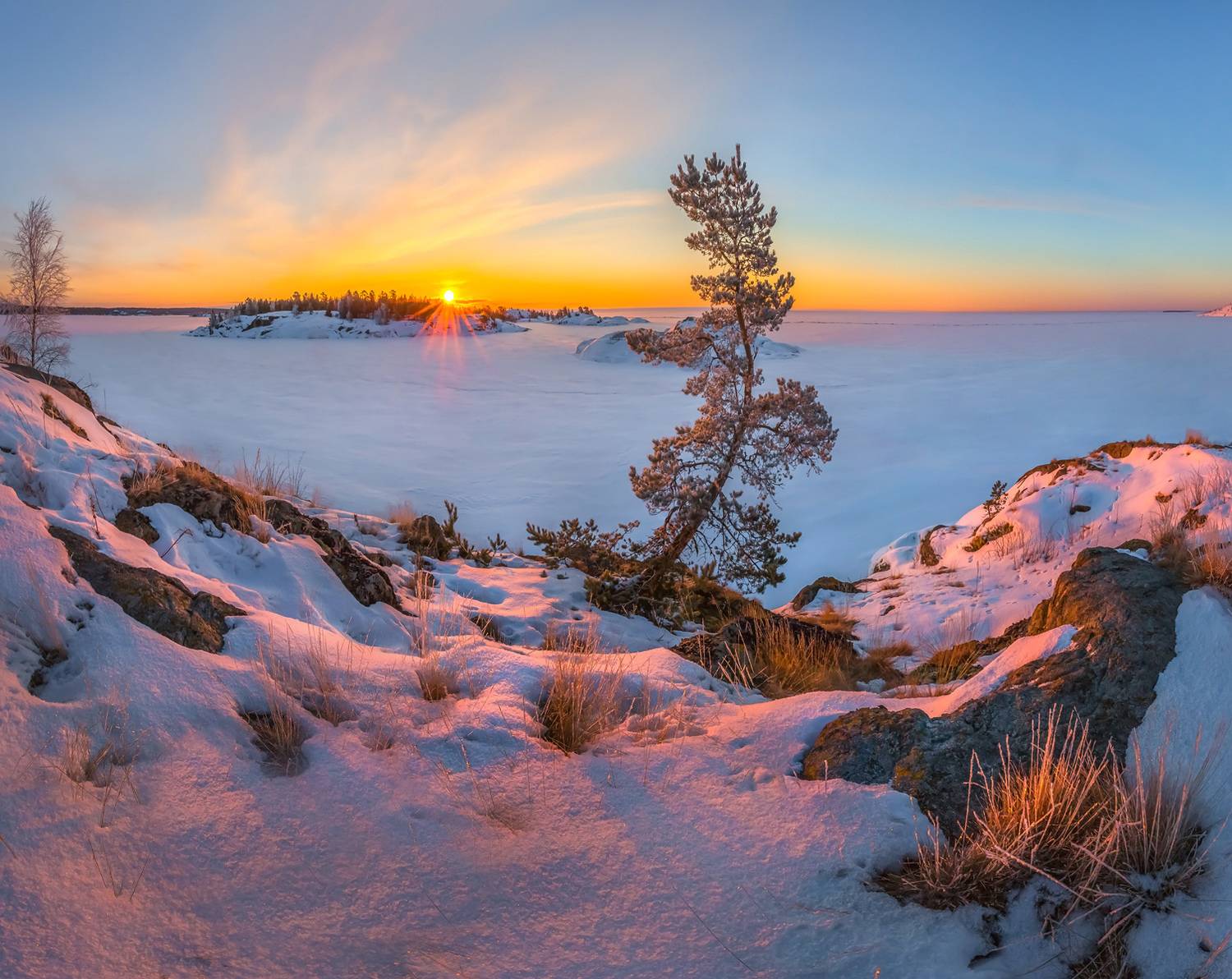 зима, зимнее, снег, снежное, в снегу, ладожское озеро, карелия, сосна, дерево, остров, скалы, рассвет,, Лашков Фёдор