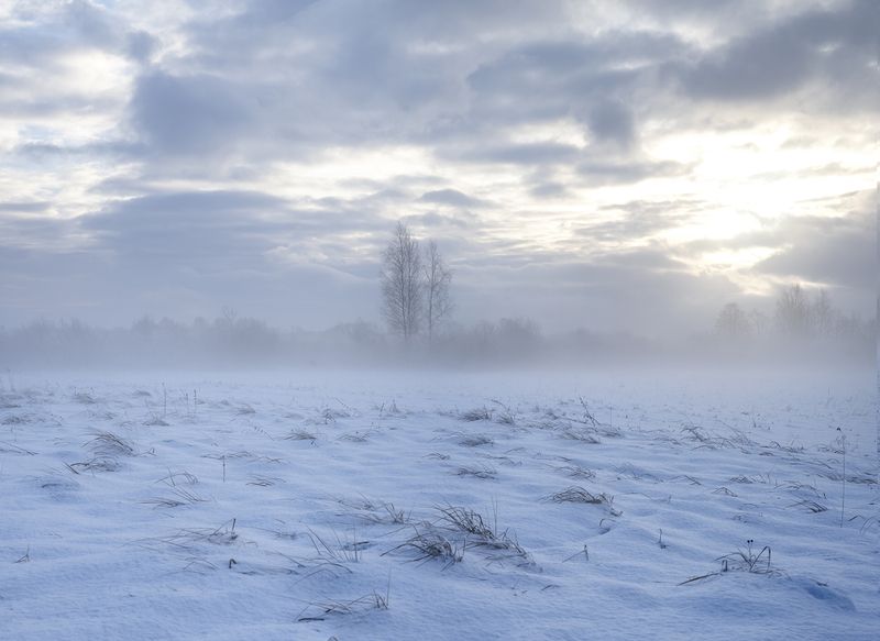 mist,feeld,trees,winer,snow Morning mistphoto preview