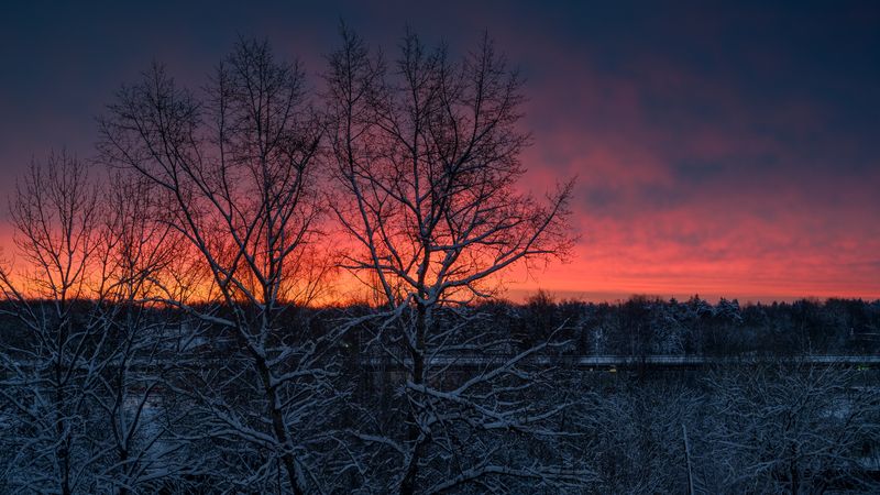 forest, tree, light, winter, sunlight, morning, snow, sunrise, sky, cloud ***photo preview