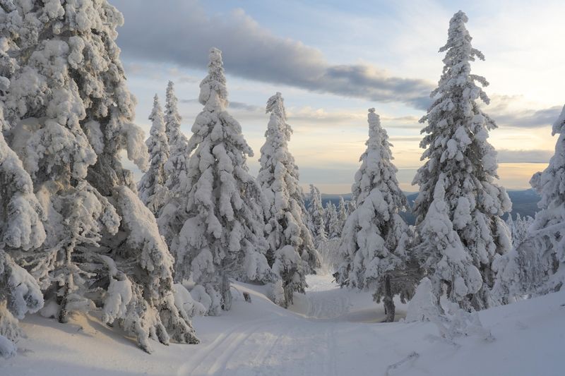 Зимняя сказка Таганаяphoto preview