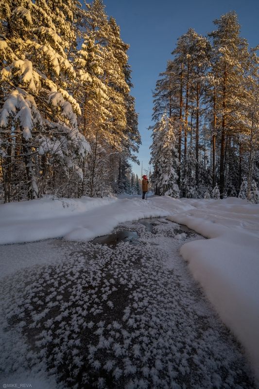 Коротким зимним днемphoto preview