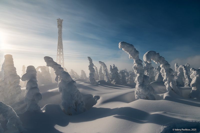 шерегеш, иней, пихты, гора зелёная, горная шория, зимний день, морозная дымка, снег, мороз, зима, сибирь Сибирский этюдphoto preview