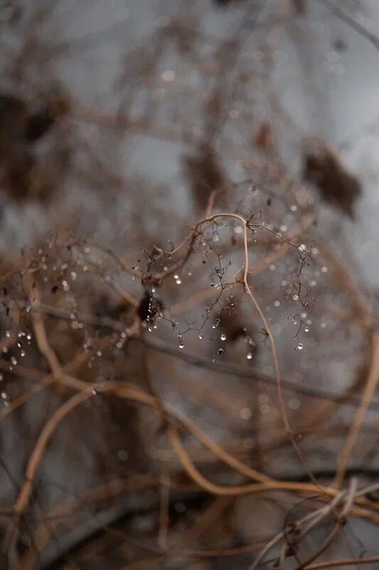 Портфолиоphoto preview