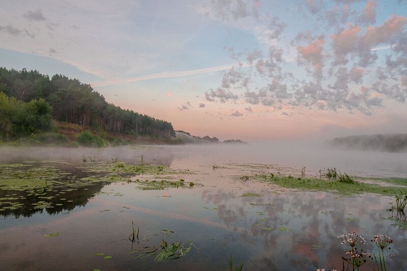 лето река туман облака природа пейзаж рассвет Летний рассвет на Оке.photo preview