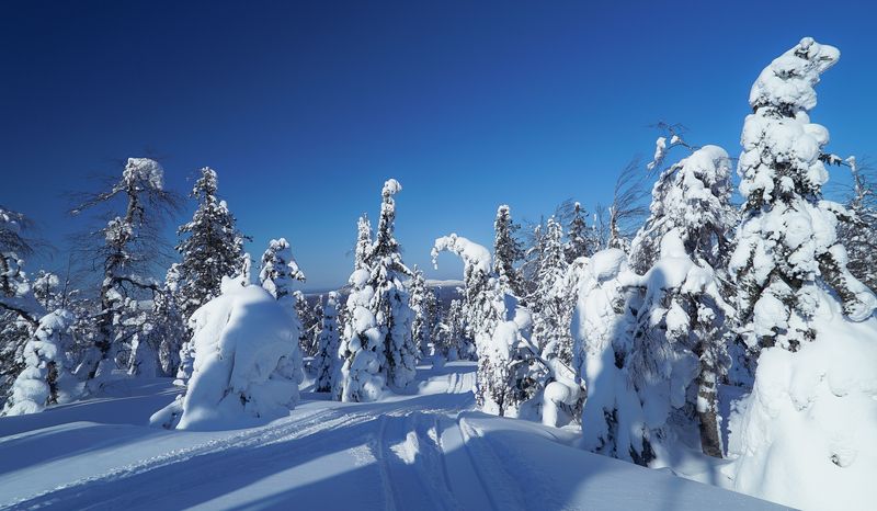 Россия, Пермский край, Помянённый Камень, Красновишерск,  Русская зимаphoto preview