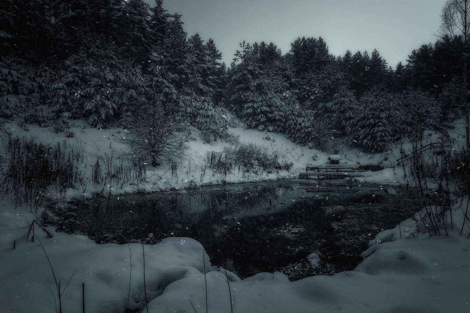 , Алексей Бондаренко