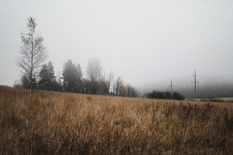 Карелия, республика Карелия, природа Карелии, Лахденпохья, Сортавала, туман Осенний туманphoto preview