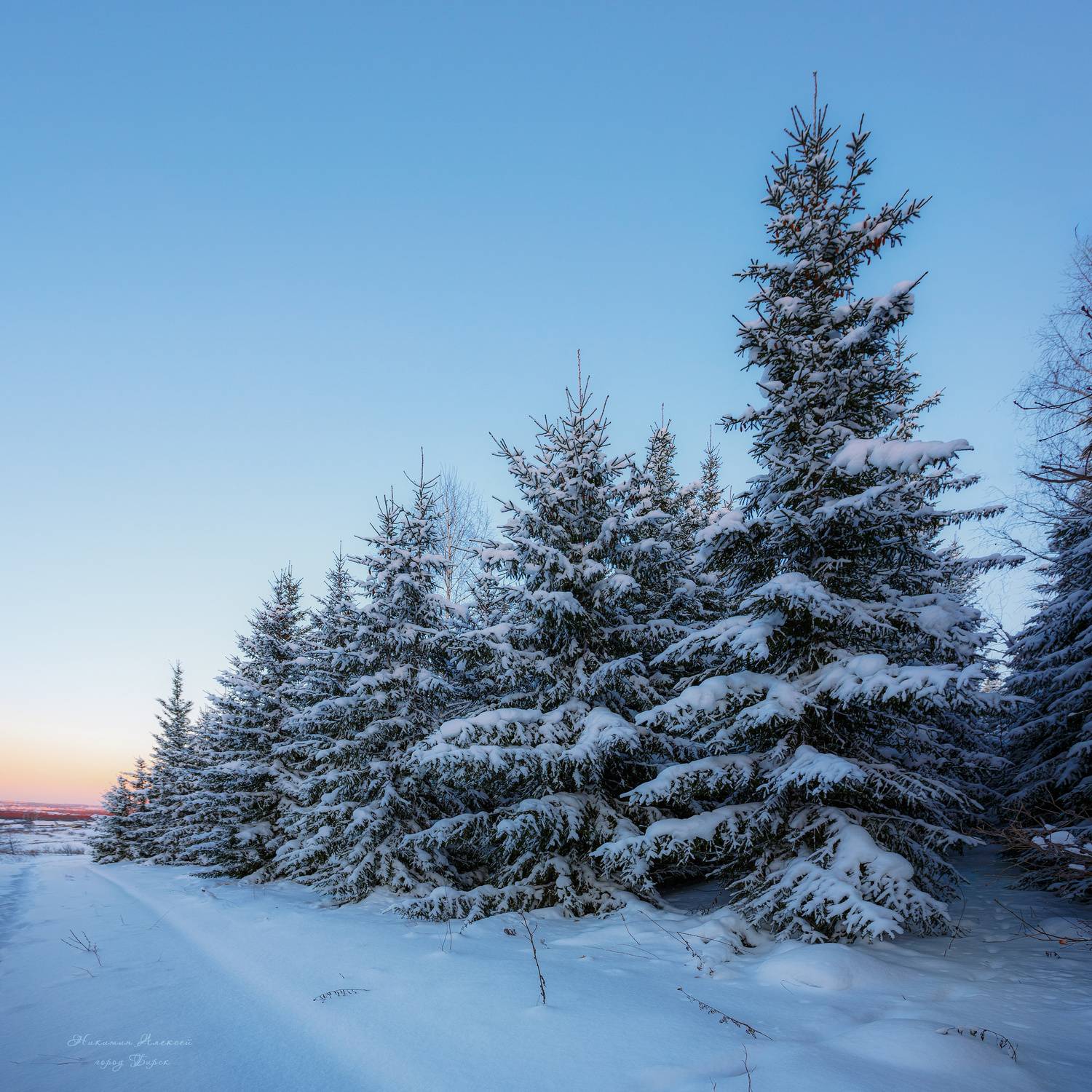 , Никитин Алексей